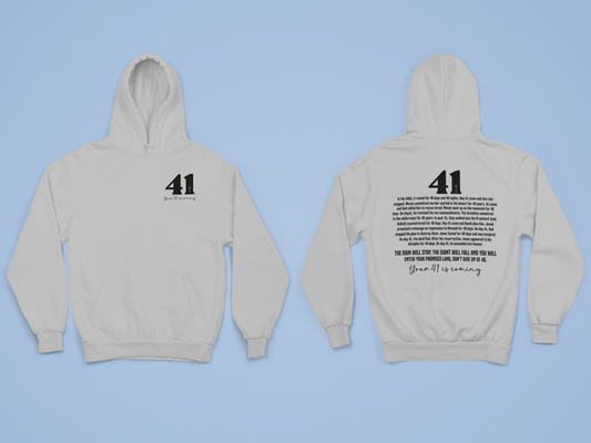 41 hoodie